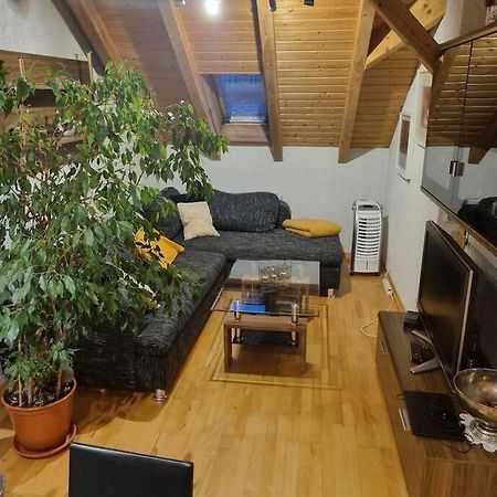 Gemuetliche Dachgeschosswohnung Érfurt Exterior foto