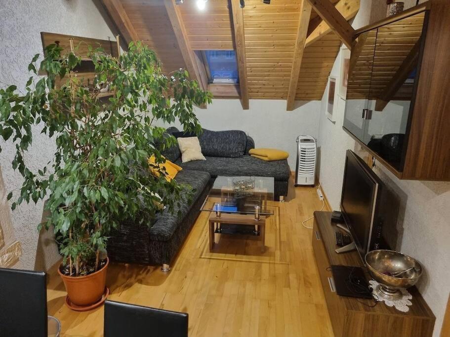 Gemuetliche Dachgeschosswohnung Érfurt Exterior foto